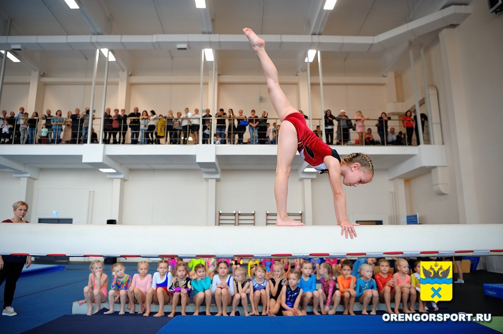 Соревнования по технической подготовке, посвященные «Всероссийскому дню гимнастики»