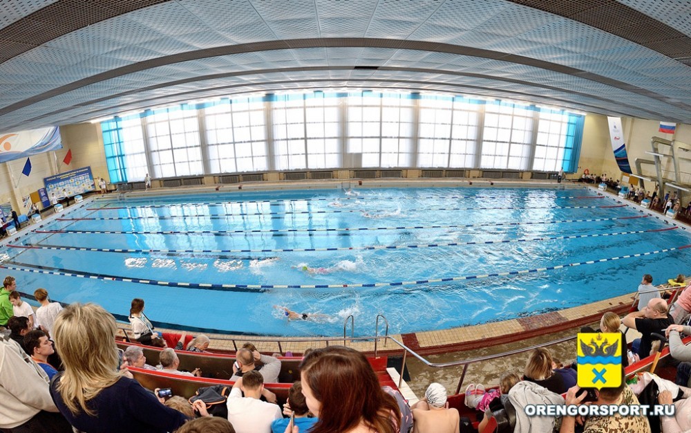 14 и 15 ноября в Оренбурге состоится региональный турнир по плаванию «Осенние старты»