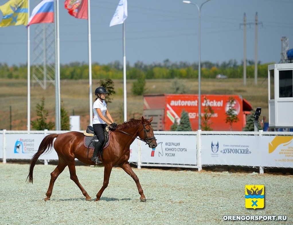 В КСК "Дубровский" пройдет Кубок Федерации конного спорта Оренбургской области
