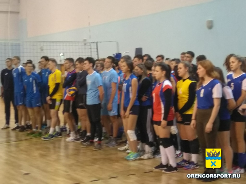 X турнир по волейболу посвященный памяти И.С. Рынкова