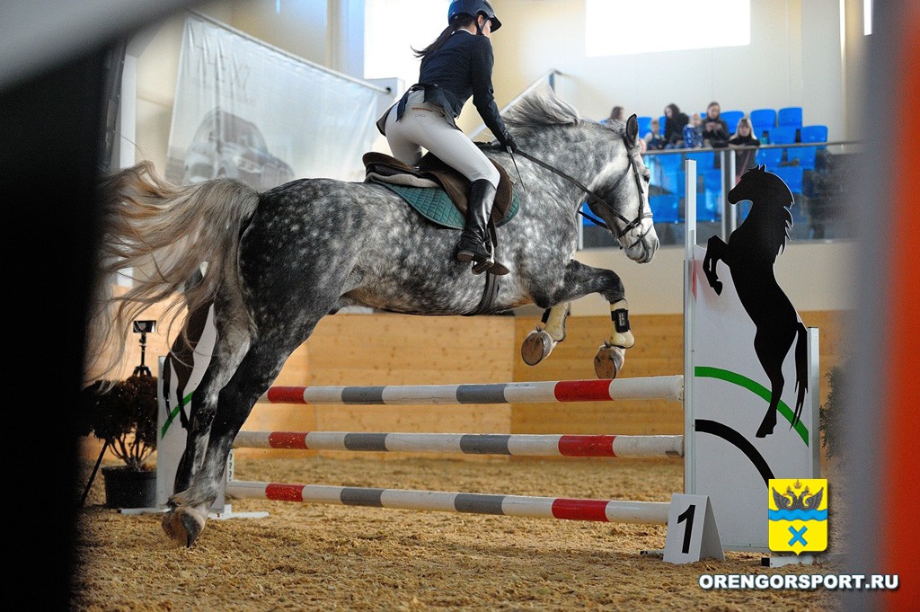 Кубок Федерации конного спорта Оренбургской области