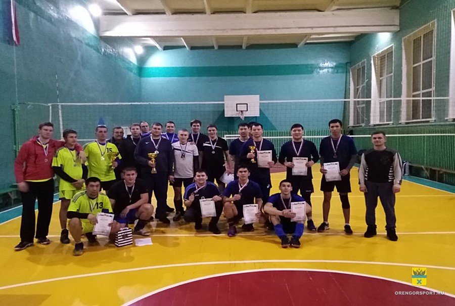 Традиционный турнир по волейболу памяти И. М. Тулинцева